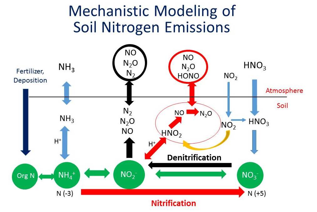 Soil Nitrogen Emissions Modeling