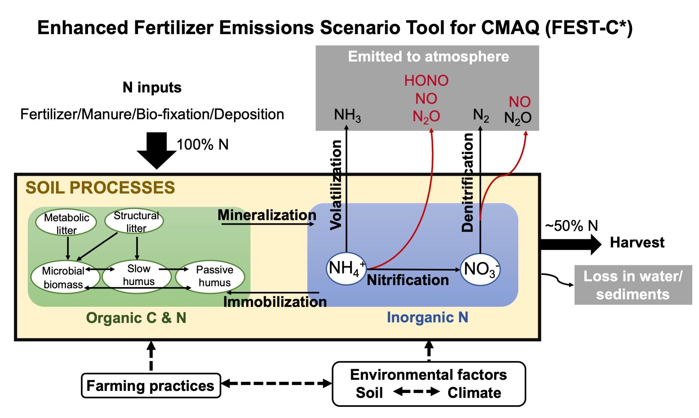 Soil Nitrogen Modeling in FEST-C
